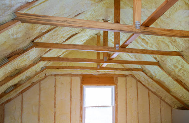 Best Energy Efficiency Solutions in Great Falls, VA