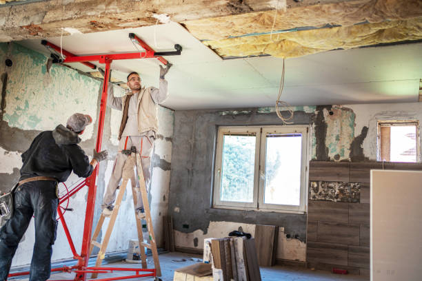 Best Insulation Maintenance and Repair in Great Falls, VA