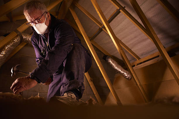 Best Residential Insulation in Great Falls, VA
